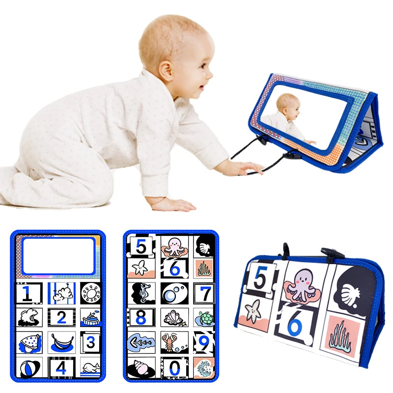 Baby Development, High-Contrast Sensory Crawling Activity Toy